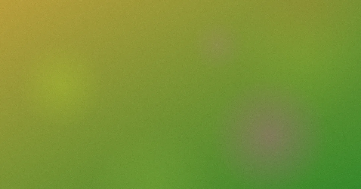 许玉推荐：新手这样选